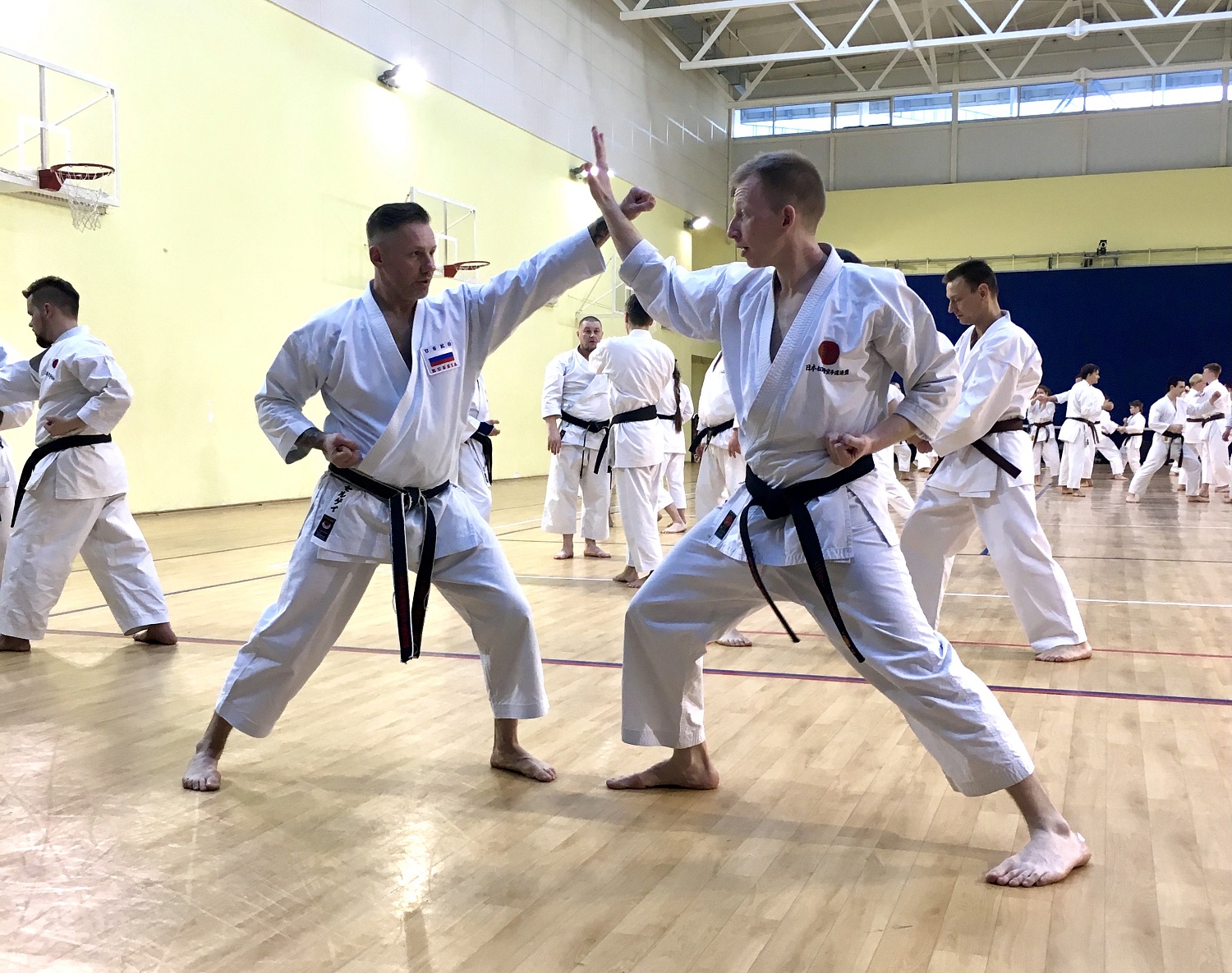 Соревнования