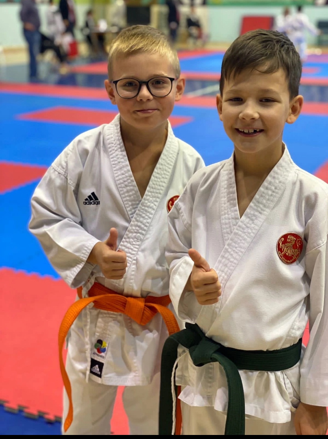 Тренировки