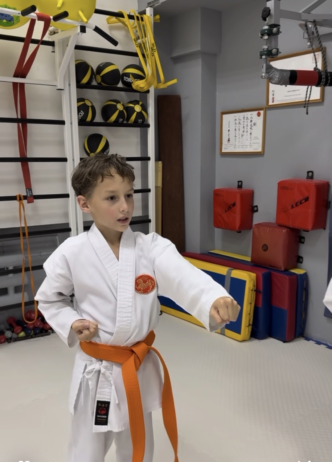 Тренировки